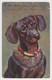 Artist Signed DONADINI, Dog PC CPA 1919 - Donadini, Antonio