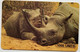Tanzania TSHS 1000 "  Rhinoceros " - Tanzanie