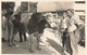 Exposition Cantonale D'agriculture Boudry Neuchâtel 1927 Un Premier Prix Taureau Bétail - Boudry