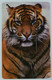 UK - Great Britain - McCorquodale Card Technology Ltd - Tiger - 1994 - Sample - R - Emissions Entreprises