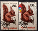 Animals Fauna  Squirrel  Errors Romania 1993 # Mi 4903 Printed With  Misplaced Writer Image - Variétés Et Curiosités