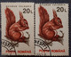 Animals Fauna  Squirrel  Errors Romania 1993 # Mi 4903 Printed With  Misplaced Writer Image - Varietà & Curiosità