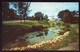 AK 078335 USA - Minnesota - St. Paul - Como Park - Conservatory And Lily Pond - St Paul