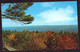AK 078490 USA - New York - Catskill Mountains - View From North Lake Public Camping - Catskills