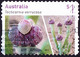 AUSTRALIA 2017 $1 Multicoloured, Australian Succulents-Tecticornia Verrucosa Self Adhesive SG4750 Used - Used Stamps