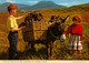 IRELAND- Collecting TURF, CONNEMARA - Animation - Jeune Couple Irlandais Et Leur Ane**Scan Recto/Verso - Galway