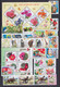 KOREA - 2011 - ANNEE INCOMPLETE ** MNH 3 PAGES - ANIMAUX/TRANSPORTS/FLEURS ETC.... COTE YVERT 2015 ! = 164 EUR. - Korea, North