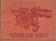 Nederland Jubelt Herdenkingsalbum Troonbestijging 1948 - Antique