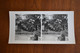 Photo Stereoscopic Stereoscopy - Milan Milano 1954 - Visionneuses Stéréoscopiques