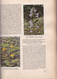 Aus Wald Und Flur - Pflanzen Unserer Heimat - Komplettes Album Mit Allen Bildern Von 1937 - Sehr Gut Erhalten - Collezioni E Lotti