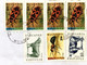 BULGARIA 1989, USED COVER VIGNETTE AIRMAIL LABEL" BULGARIA 89 " INSECT, ANT, COW, BUFFALO,7 STAMPS USED COVER,VARNA CITY - Lettres & Documents