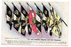 Guerre 14-18 ---Les Sept Premiers Drapeaux Pris Aux Allemands..........à Saisir - Guerre 1914-18