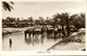 Bahrain, Herd Of Camels (1930s) RPPC Postcard - Bahrain