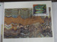 Greenland 2009 Art SET Of 3 Maximum Cards VF - Maximumkarten (MC)