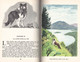 Hachette - Idéal Bibliothèque - Série Lassie  - Eric Knight - "Lassie Chien Fidèle" - 1983 - #Ben&IB - Ideal Bibliotheque