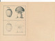 Delcampe - Format Carte Postales Illustrateur Signé Ferran Le Petit Dessinateur Coloriste Offert Tannerie Angevines Seiche Sur Loir - Mich