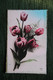 Tulipes - Blumen