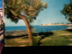 Delcampe - 20 CARD TRANI VEDUTE VARIE VBN1953<   IW2229 - Trani