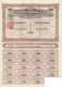 Titre De 1910 - Société Anonyme Des Plantations De Deli-Moeda - Deli-Moeda Plantagen Maatschappij - - Azië