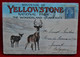 CPA 1933 Notebook 18 Views Souvenir Of Yellowstone /Travelled From Yellowstone To Jumet, Belgium - Yellowstone