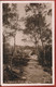 Great Britain, Leeds. Meanwood Woods. Cartolina Inizio 1900 B/n Non Circolata. - Leeds