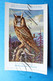 Delcampe - Uil. Hibou Chouette Owl. Lot X 9 Piece/stuks Illustrateur Artist.  Dupond H. - Namur