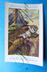 Delcampe - Uil. Hibou Chouette Owl. Lot X 9 Piece/stuks Illustrateur Artist.  Dupond H. - Namur