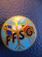 Insigne Ancien De Boutonnière /France/ FFSG/ Fédération Française Des Sports De Glace /vers 1960-1980          INS64 - Kunstschaatsen