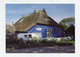 AK 080866 GERMANY - Hiddensee - Die Blaue Scheune In Vitte - Hiddensee