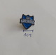 BIK Karlskoga Sweden Ice Hockey Club PINS A9/2 - Sports D'hiver