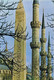 47087. Postal Aerea ISTAMBUL (Turquia) 1973. Mezquita Azul Y Obelisco Egipcio - Brieven En Documenten