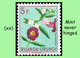 Delcampe - 1953 ** RUANDA-URUNDI RU 177/195 MNH TROPICAL FLOWERS SET  ( X 19 Stamps ) - Neufs