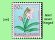 Delcampe - 1953 ** RUANDA-URUNDI RU 177/195 MNH TROPICAL FLOWERS SET  ( X 19 Stamps ) - Nuovi