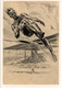 55114 - Deutsches Reich - 1935 - Werbepostkarte #12 Des Hilfsfonds Fuer Den Deutschen Sport, Ungebraucht - Jeux Olympiques