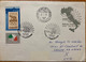 HUNGARY ITALY JONT ISSUE -1985 ITALIA 85 SPECIAL COVER & CANCEL!! MAP ,BIRD ,COMPUTER,BUTTERFLY, BUDAPEST CITY CANCEL - Cartas & Documentos