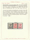 253 Montenegro  1942 - Francobolli Di Jugoslavia Re Pietro Con Soprastampa “Montenegro” In Rosso N. 49/59. MH - Montenegro