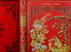 Livre - FLEURS Des ALPES, Savoie, 150 Vues Figures Et Compositions, 256 Pages, 1900/1920 - Alpes - Pays-de-Savoie
