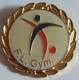 France Gymnastics Association Federation Union Gymnastics  PIN A9/6 - Gymnastique