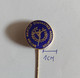 B.A.G.A. British Amateur Gymnastics Association  Federation Union Gymnastics  PIN A9/6 - Gymnastique