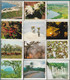 Banco De Angola , Before 1974 , 12 Full Matchboxes , Landscapes , In Original Acrylic Box - Boites D'allumettes