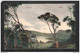 CEYLON CEYLAN Sri Lanka NUWARA-ELLYA No19 PLATE & Co - Sri Lanka (Ceilán)