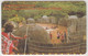 SWAZILAND - Cultural Village, 03/01, CN: SGAH, 20 E, Used - Swasiland