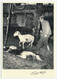 Delcampe - 6 CPM - MAYRINHAGUES Près Villeneuve (Aveyron) - Jean Dournes - La Tonte Des Moutons - Claude Fagé N°89.196 à 89.201 - Autres & Non Classés