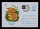 Gc7097 ROMANIA "danger Mushrooms -Satanas" Setas Champignons Plants Food Alimentation Used Cover Postal Stationery 1993 - Toxic Plants
