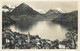 Europe Switzerland Zurich USTER Vierwaldstattersee Vitznau 1938 Postcard - Uster