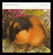 NORWAY 2010 Wild Animals (5th Issue): Collectors' Pack UM/MNH + CANCELLED - Lettres & Documents