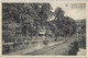 Esneux   -   Avenue De La Station.   -   1951   Naar   Forest - Esneux