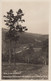 AK - Blick Ins KREUTTAL 1931 - Mistelbach