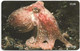Isle Of Man - Chip - Marine Life - Curled Octopus - 21U, 2000, 20.000ex, Used - Man (Isle Of)