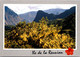 (2 L 50) France  Ile De La Réunion (posted To France 1994) - Reunion